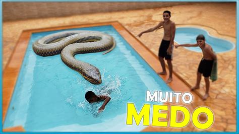 sexo com cobra|Homem E Mulher Transando Com Cobra Enorme